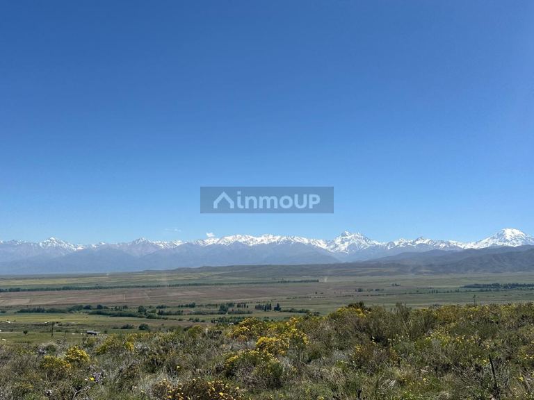 Lote en Venta en Tupungato, Mendoza