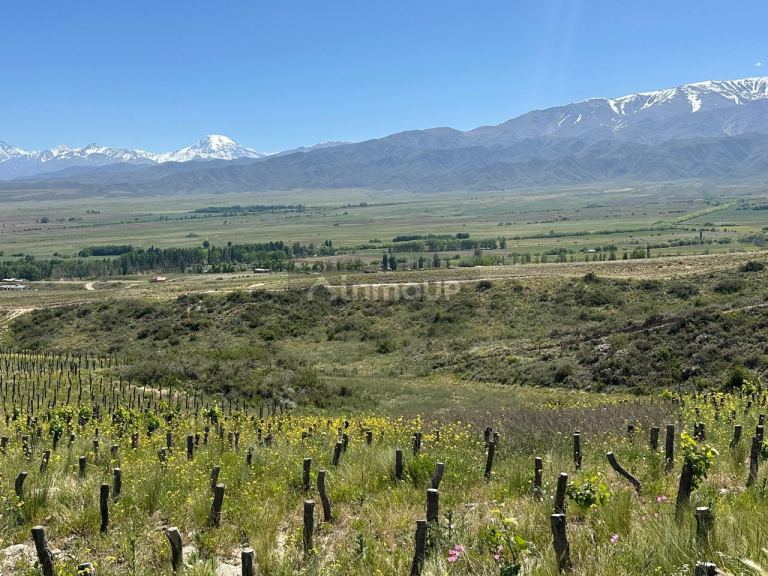 Lote en Venta en Tupungato, Mendoza