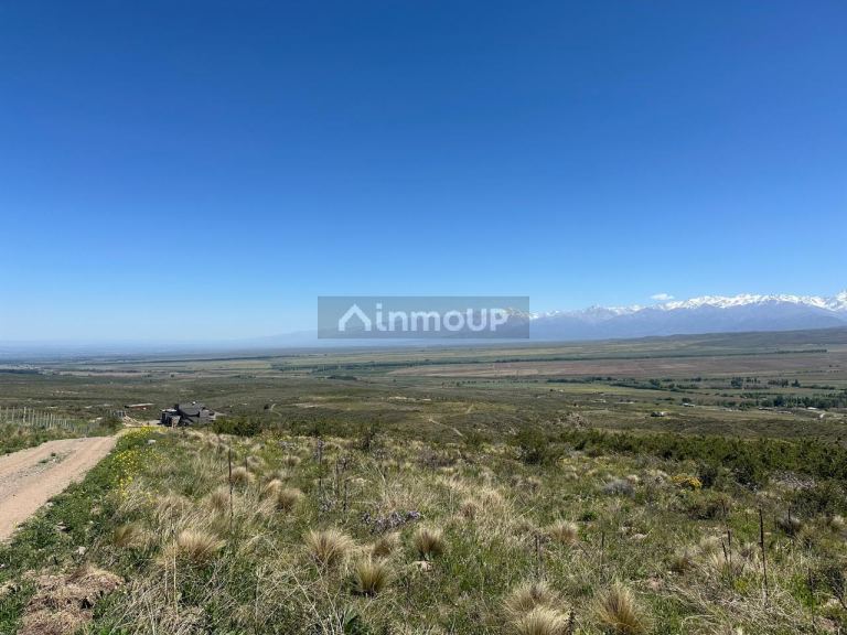 Lote en Venta en Tupungato, Mendoza