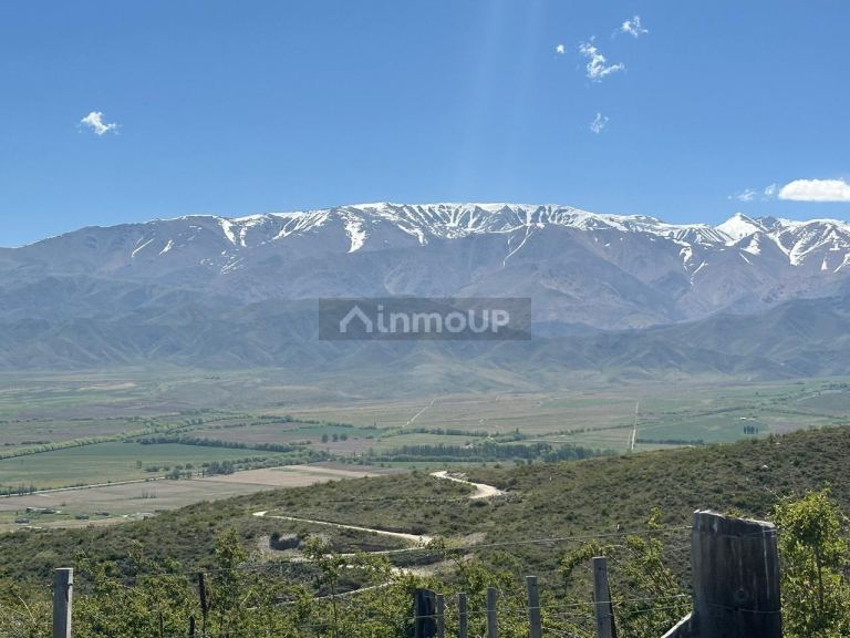Lote en Venta en Tupungato, Mendoza