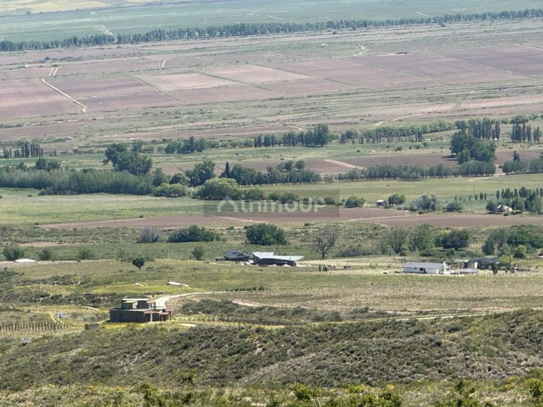 Lote en Venta en Tupungato, Mendoza