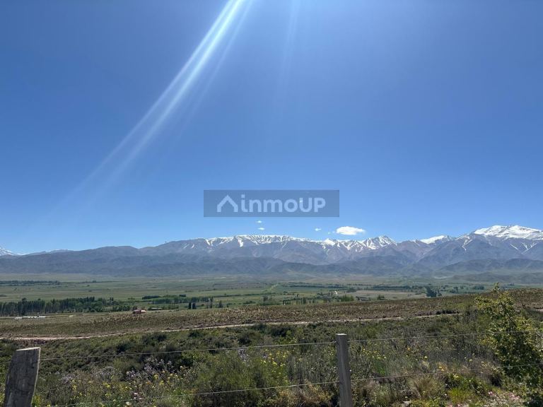 Lote en Venta en Tupungato, Mendoza
