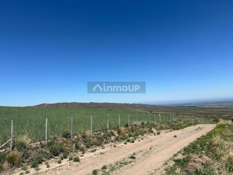 Lote en Venta en Tupungato, Mendoza