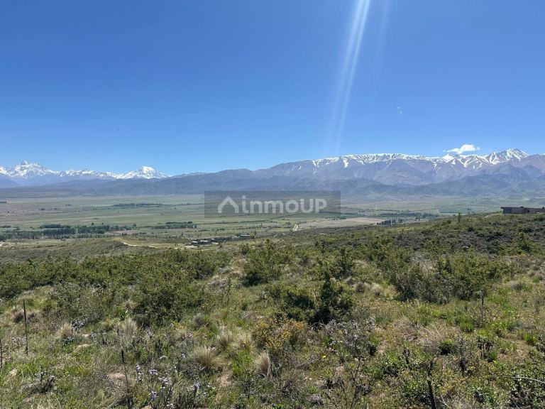 Lote en Venta en Tupungato, Mendoza
