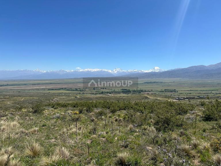 Lote en Venta en Tupungato, Mendoza