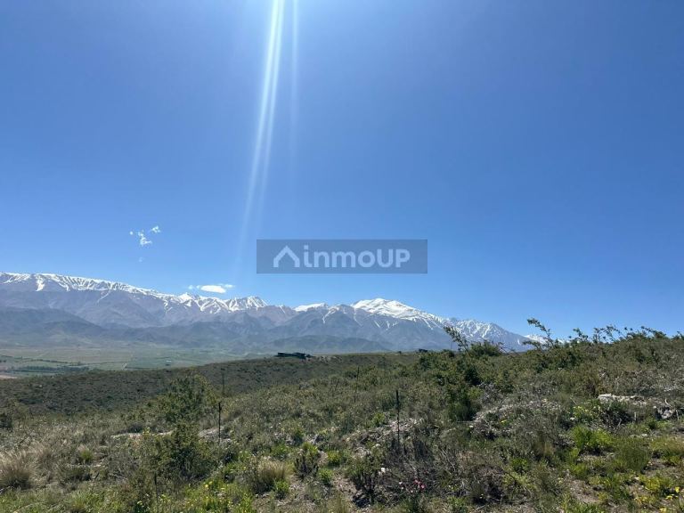 Lote en Venta en Tupungato, Mendoza