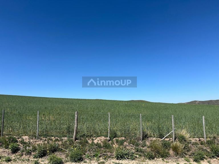 Lote en Venta en Tupungato, Mendoza