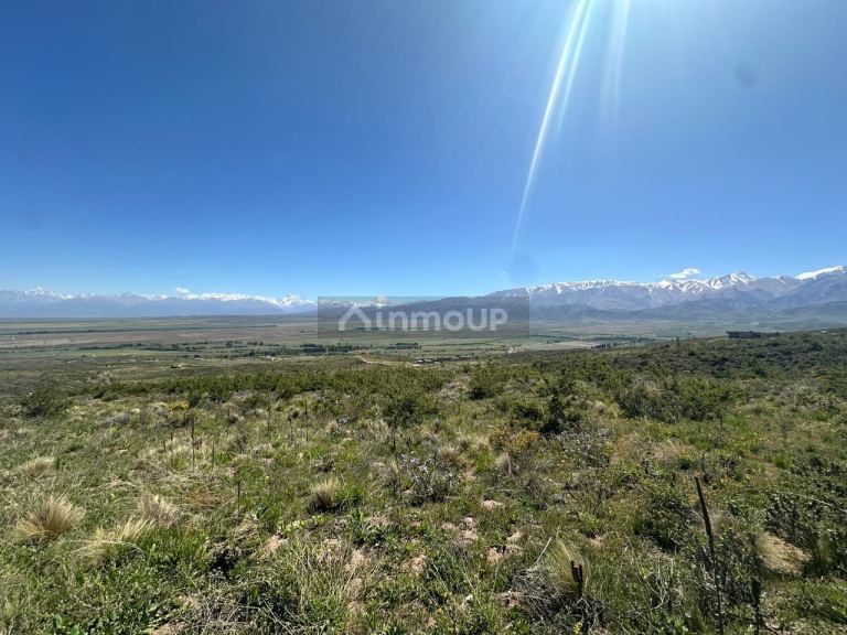 Lote en Venta en Tupungato, Mendoza