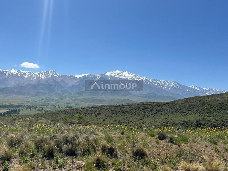 Lote en Venta en Tupungato, Mendoza