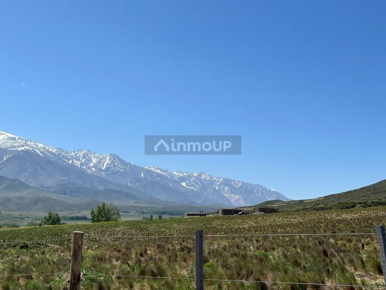 Lote en Venta en Tupungato, Mendoza