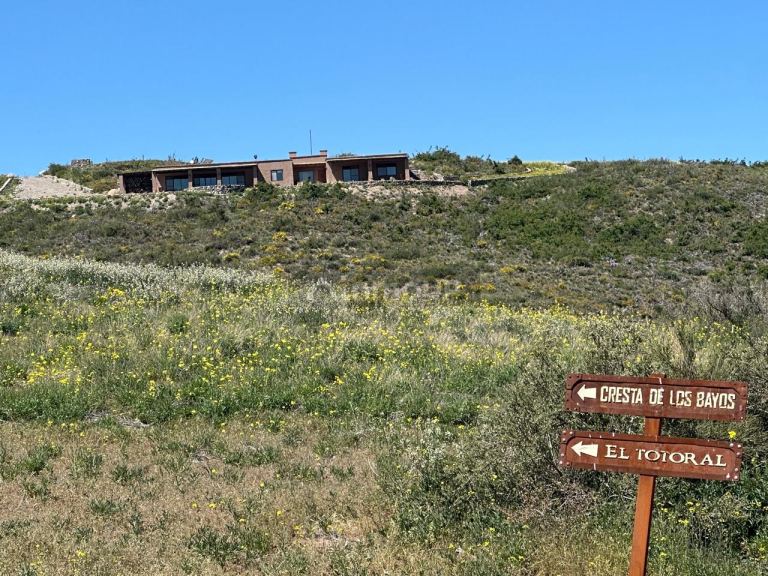 Lote en Venta en Tupungato, Mendoza