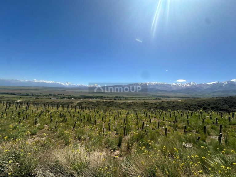 Lote en Venta en Tupungato, Mendoza