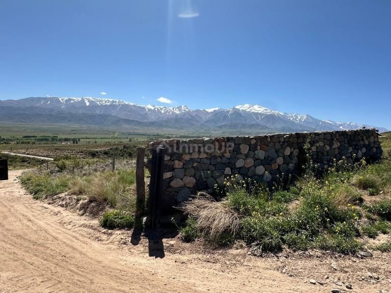Lote en Venta en Tupungato, Mendoza