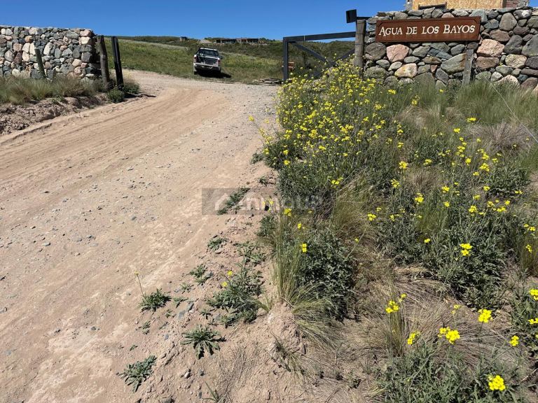Lote en Venta en Tupungato, Mendoza