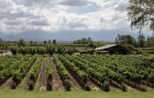 Casa en Venta en Tunuyan, Mendoza