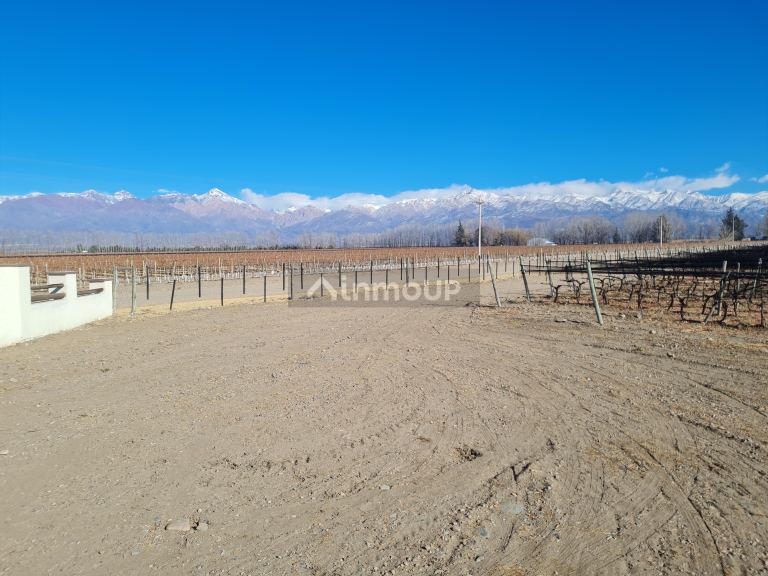 Finca en Venta en Tunuyan, Mendoza