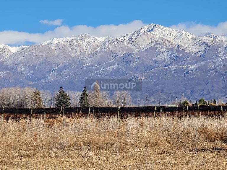 Finca en Venta en Tunuyan, Mendoza