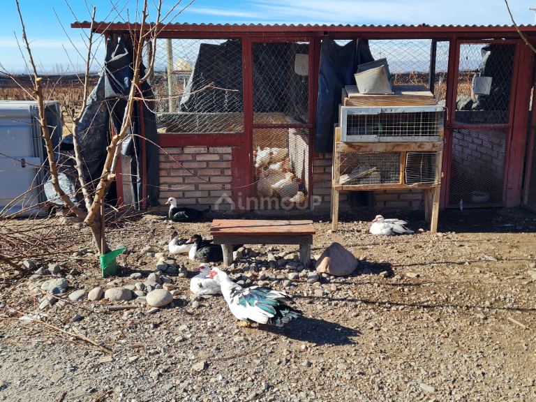 Finca en Venta en Tunuyan, Mendoza