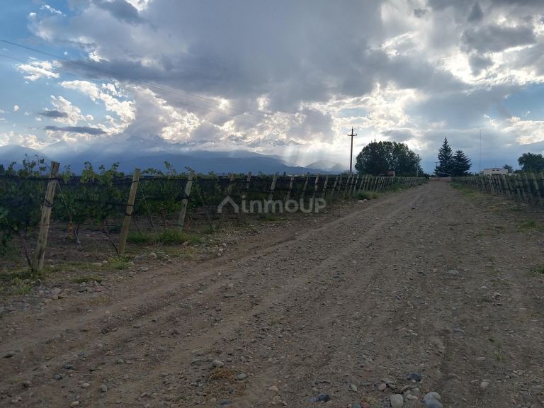 Finca en Venta en Tunuyan, Mendoza