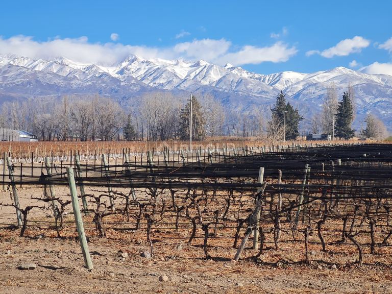 Finca en Venta en Tunuyan, Mendoza