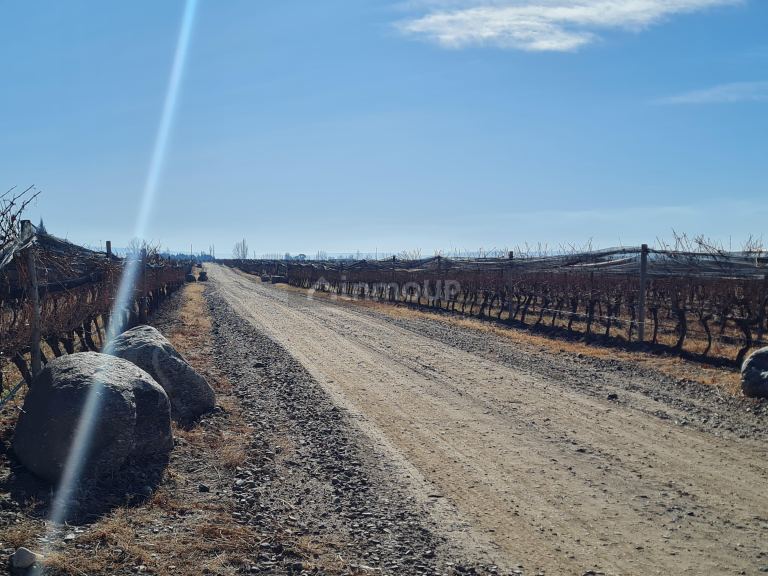 Finca en Venta en Tunuyan, Mendoza