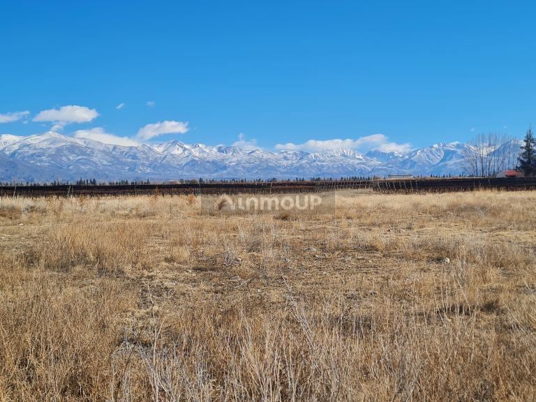 Finca en Venta en Tunuyan, Mendoza