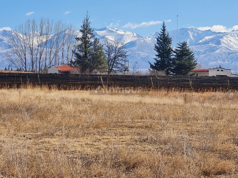 Finca en Venta en Tunuyan, Mendoza