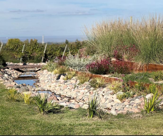 Finca en Venta en Tunuyan, Mendoza
