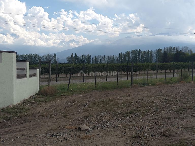 Finca en Venta en Tunuyan, Mendoza
