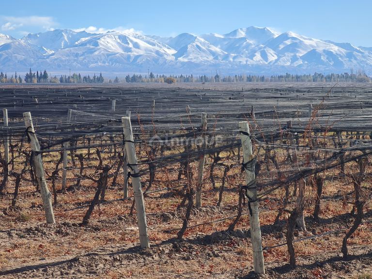 Finca en Venta en Tunuyan, Mendoza