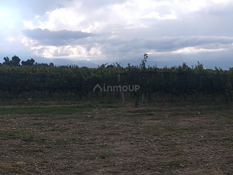 Finca en Venta en Tunuyan, Mendoza