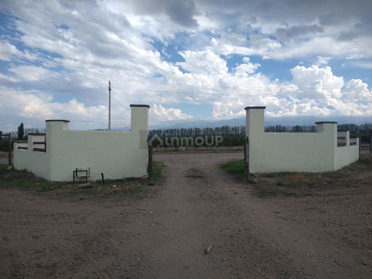 Finca en Venta en Tunuyan, Mendoza