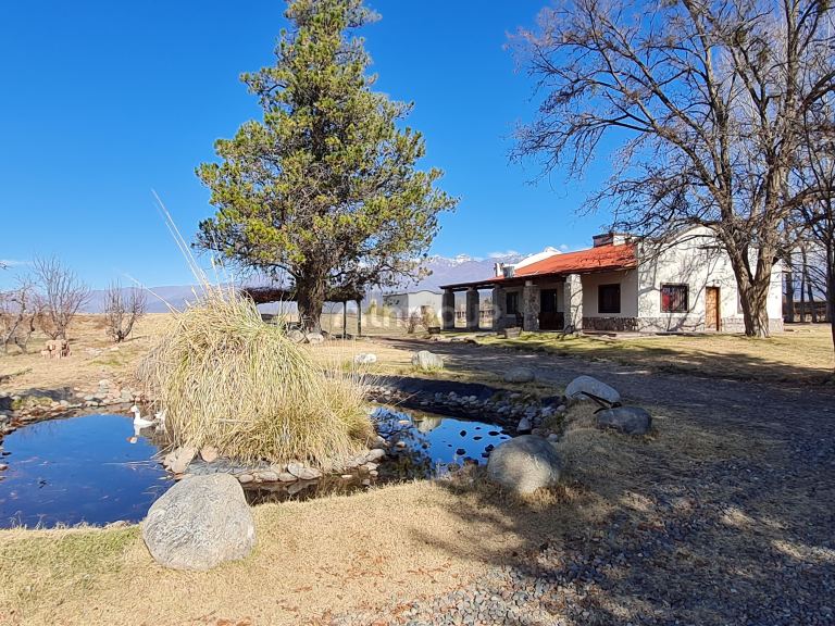 Finca en Venta en Tunuyan, Mendoza
