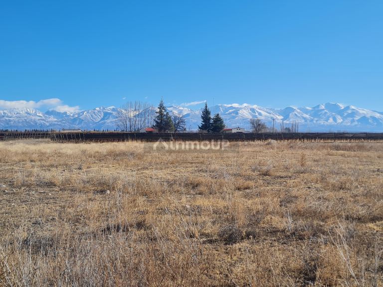 Finca en Venta en Tunuyan, Mendoza