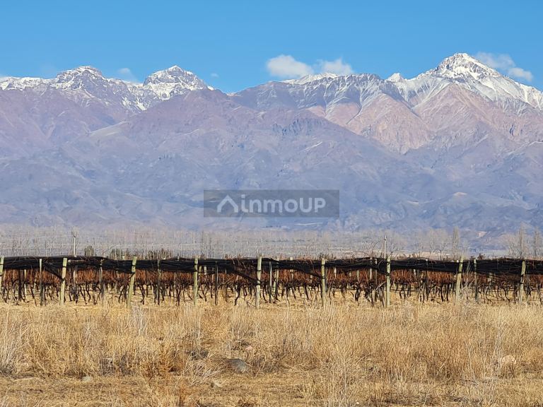 Finca en Venta en Tunuyan, Mendoza