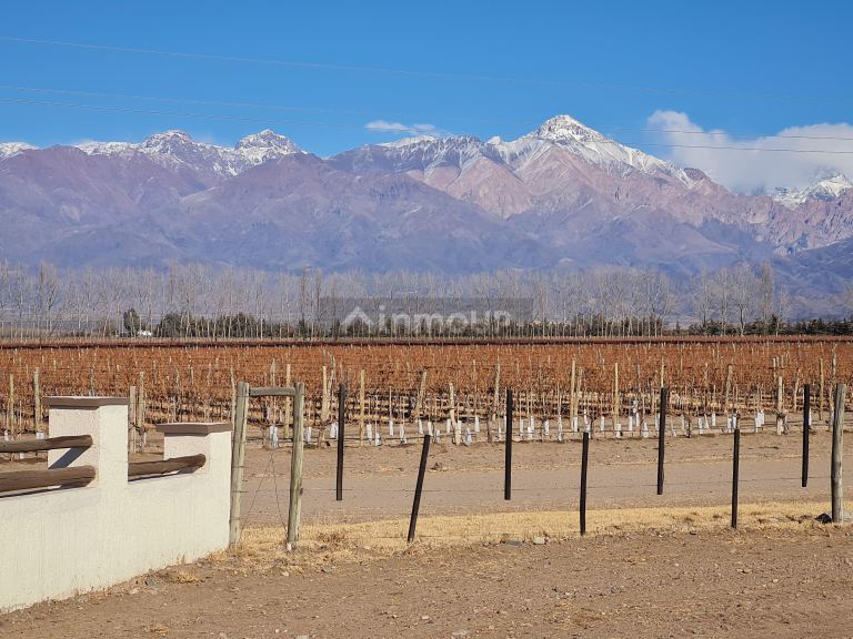 Finca en Venta en Tunuyan, Mendoza