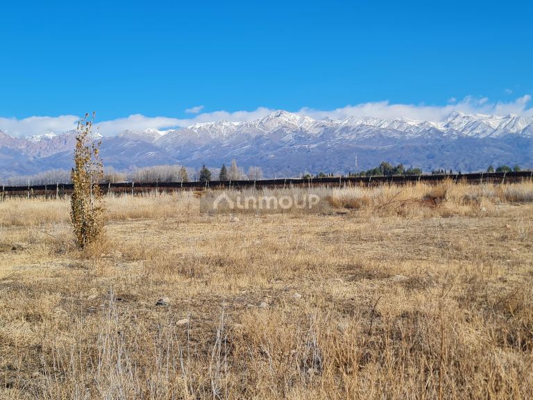 Finca en Venta en Tunuyan, Mendoza
