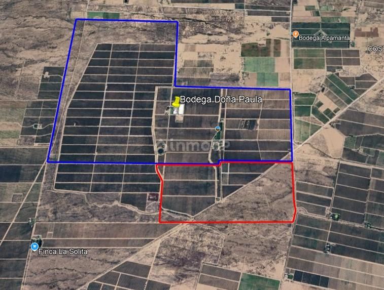 Finca en Venta en Lujan de Cuyo, Mendoza