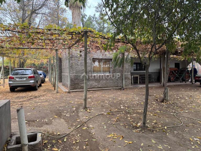 Finca en Venta en San Martin, Mendoza