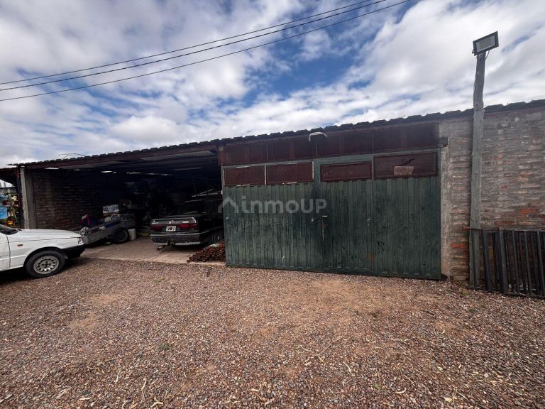 Finca en Venta en Lujan de Cuyo, Mendoza