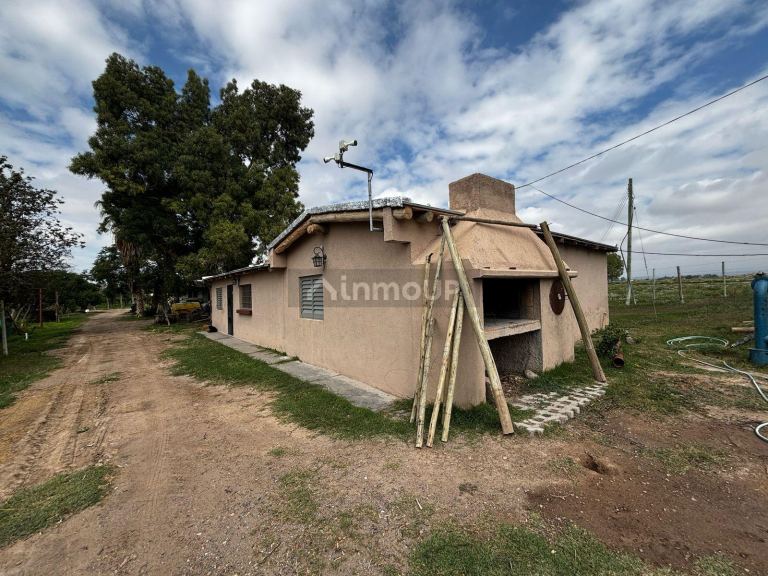 Finca en Venta en Lujan de Cuyo, Mendoza