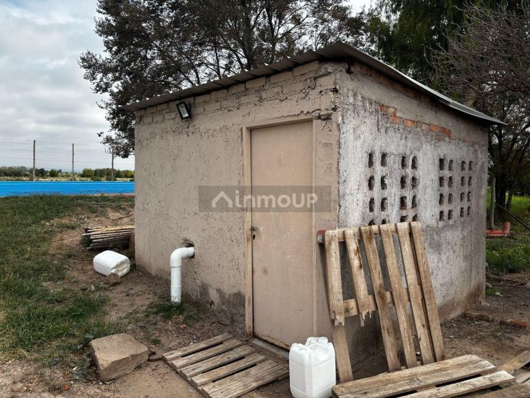 Finca en Venta en Lujan de Cuyo, Mendoza
