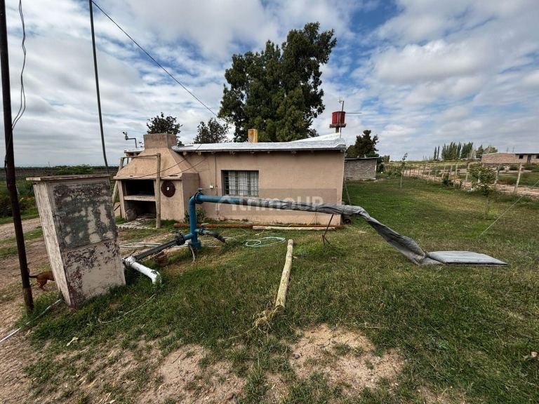 Finca en Venta en Lujan de Cuyo, Mendoza