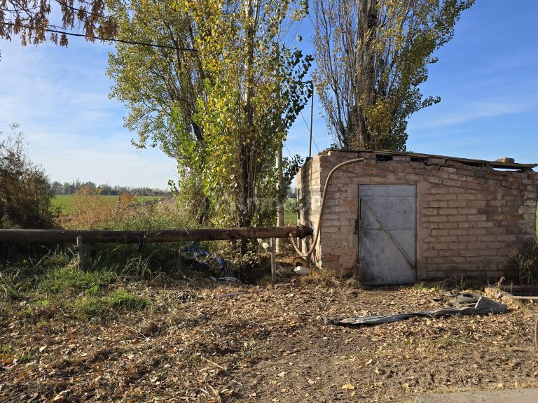 Finca en Venta en Junin, Mendoza