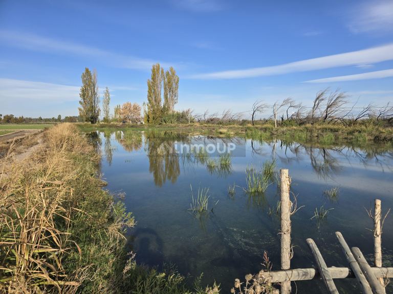 Finca en Venta en Junin, Mendoza
