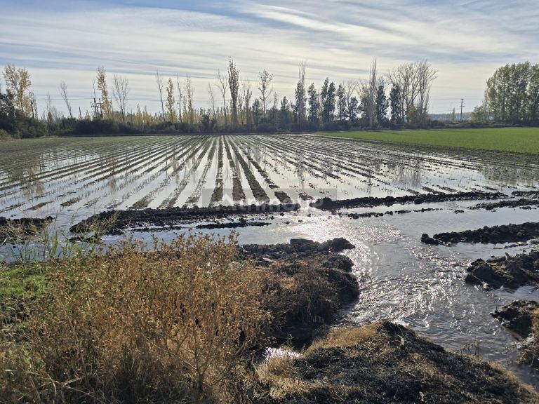 Finca en Venta en Junin, Mendoza
