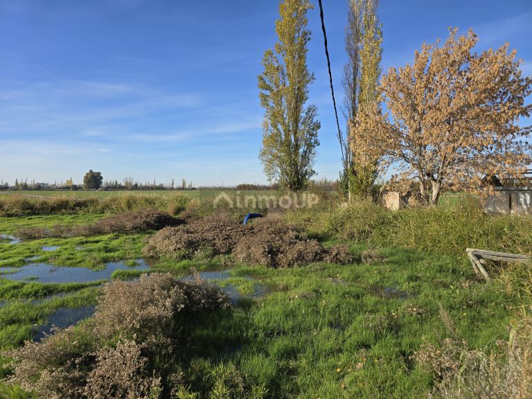 Finca en Venta en Junin, Mendoza