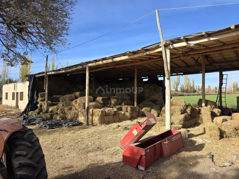 Finca en Venta en Junin, Mendoza