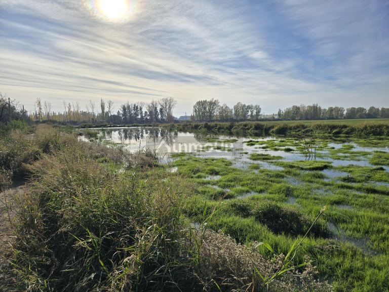 Finca en Venta en Junin, Mendoza