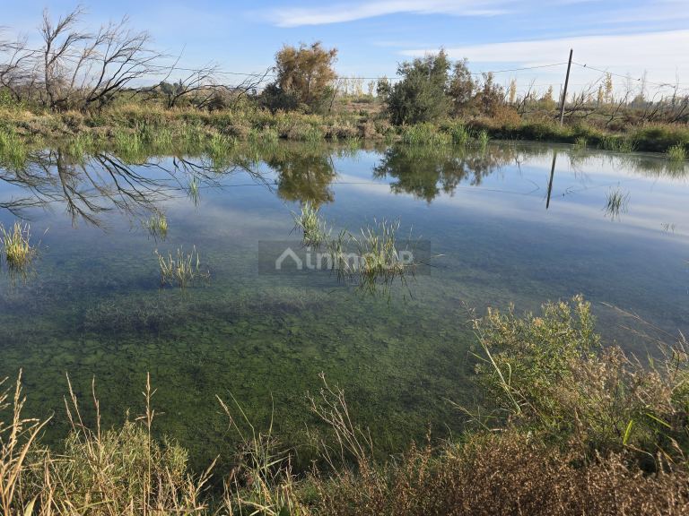 Finca en Venta en Junin, Mendoza